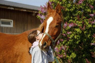 Fotoshooting mit Pferd