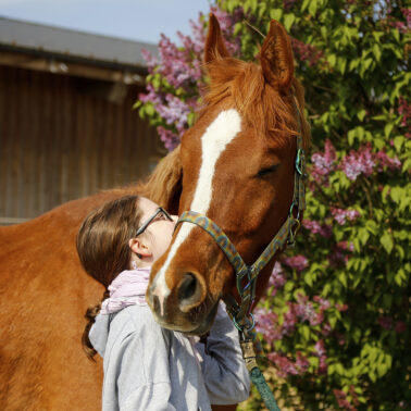 Fotoshooting mit Pferd
